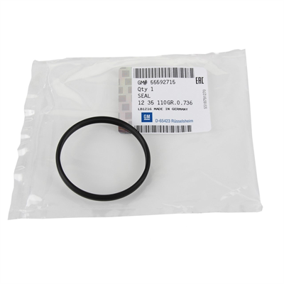 Chevrolet / Yeni Aveo (T300)  1.4 Selenoid Valf Contası GM