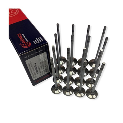 Astra H 1.6 Benzinli Çelik Subap Takımı Stelitli Güneş