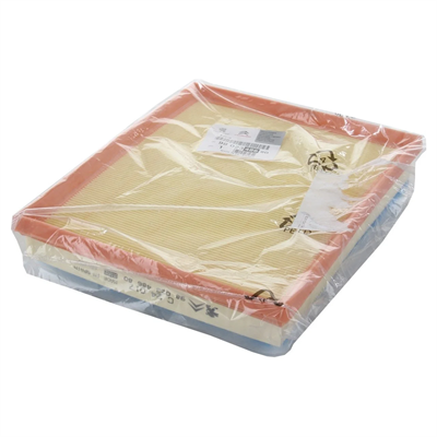 Opel / Grandland X 1.6 Dizel 1.Sınıf Hava Filtresi