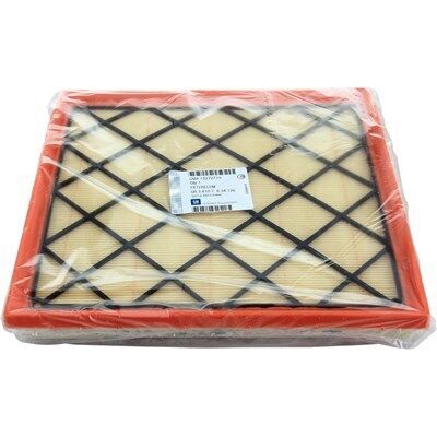 Chevrolet Cruze 2.0 Dizel Hava Filtresi Orijinal Gm