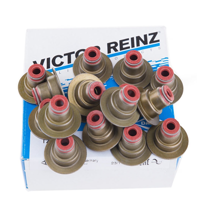 Opel / İnsignia 1.6 Subap Lastiği Takım Victor Reinz