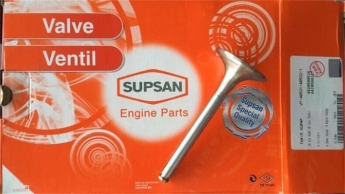 Opel / Astra H 1.6 Çelik Subap Takımı Stelitli Supsan