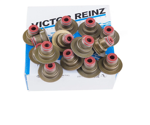 Opel / Astra G 1.6 Z16XEP Subap Lastiği Takım Victor Reinz Marka