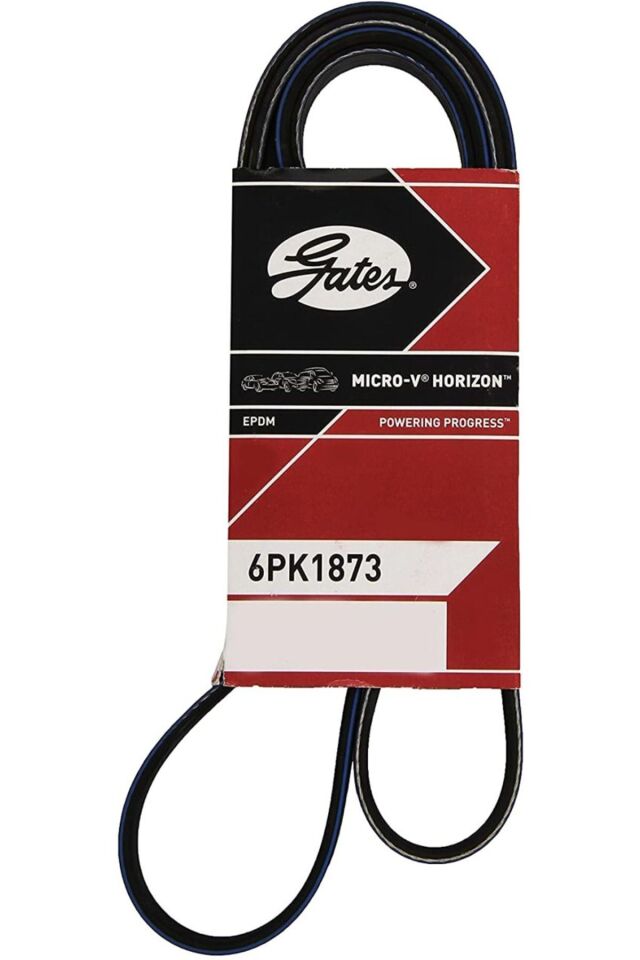 Chevrolet / Aveo V Kayışı Gates