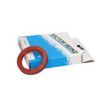 Opel / Astra G 1.4 / 1.6 Eksantrik Keçesi Victor Reinz Uyumlu