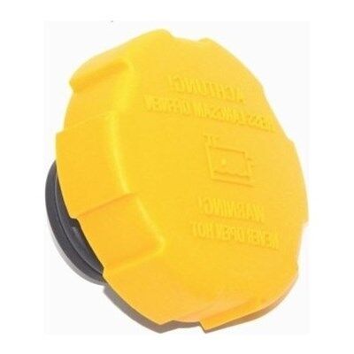 Chevrolet / Aveo 2005 - 2008 Yedek Su Depo Kapağı