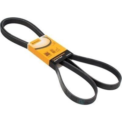 Opel / Astra K 1.6 Dizel V Kayışı Continental