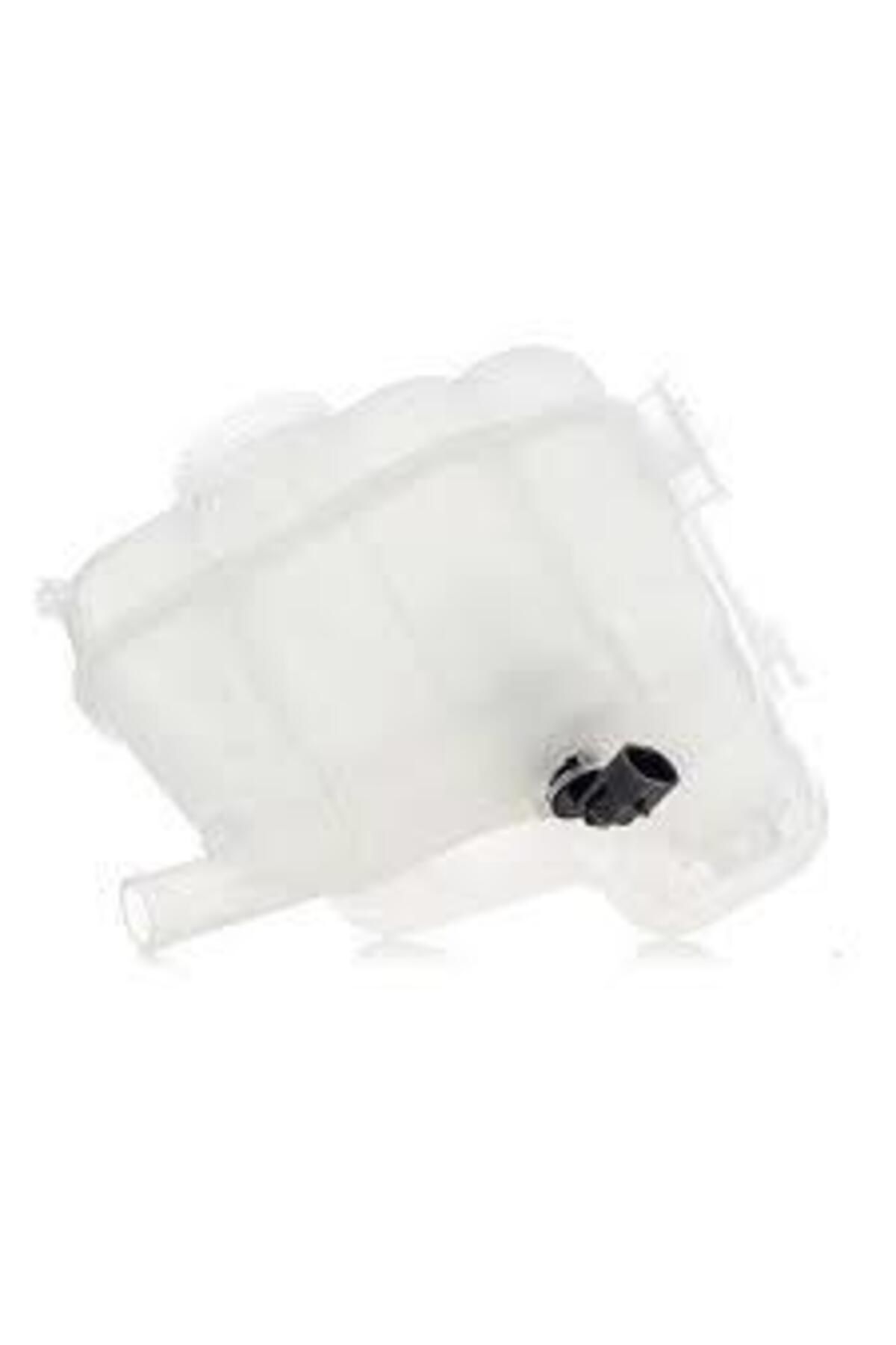 Opel / İnsignia A Yedek Su Deposu GM