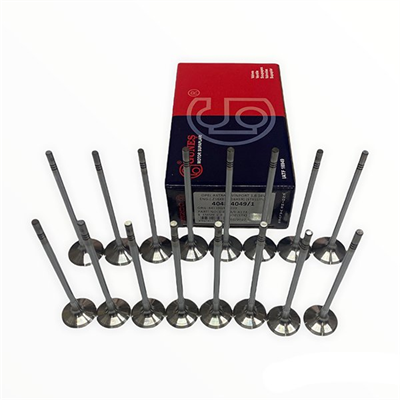 Opel / Zafira B 1.6 Benzinli Çelik Subap Takımı Çelik Stelitli Güneş